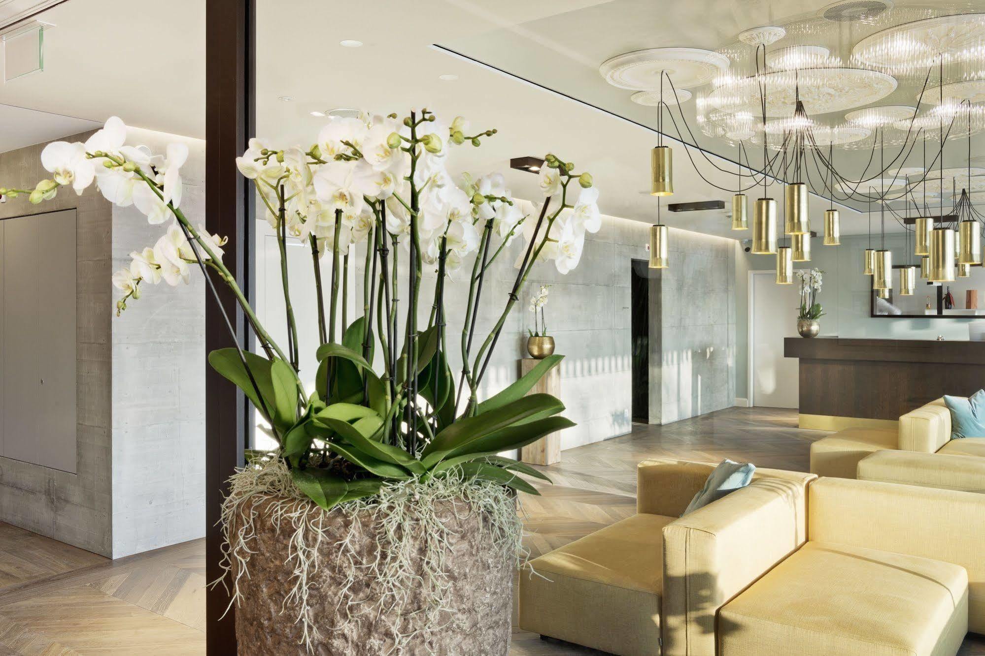 אראו Hotel Kettenbruecke מראה חיצוני תמונה